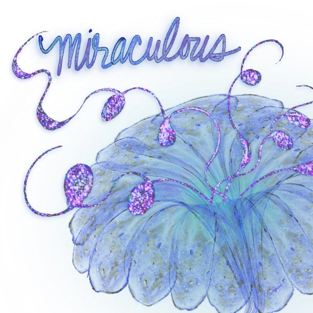 Miraculous
