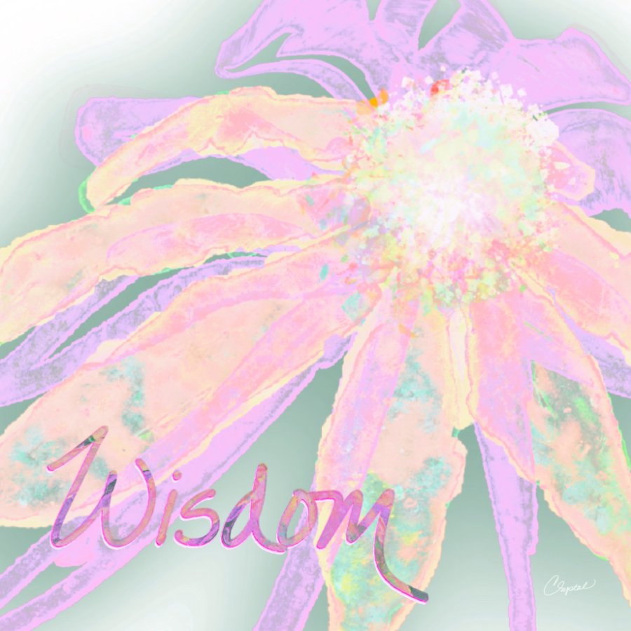 Wisdom